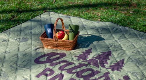 panier de pique-nique rempli de produits, posé sur une couverture de pique-nique